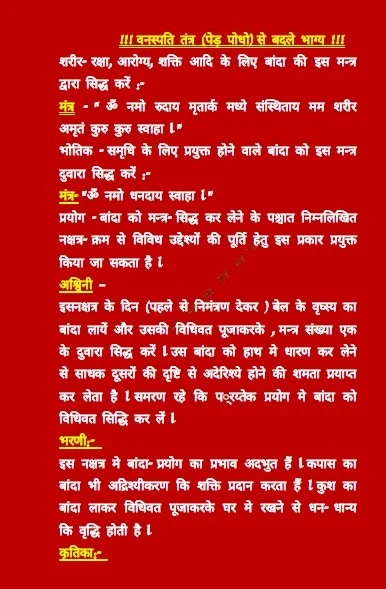वनस्पति तंत्र